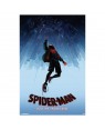 Spider-Man: Into The Spider-Verse Falling Poster