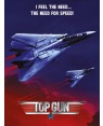 Top Gun Need for Speed Poster