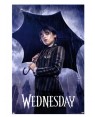 Wednesday One Sheet Wall Poster